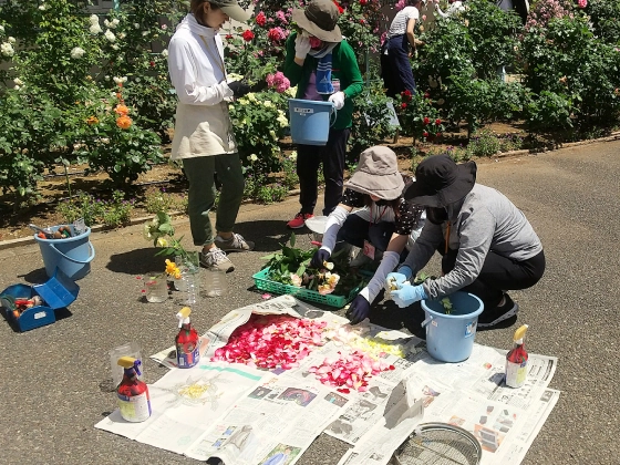 サークル活動の写真